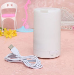 3 in1 LED Night Light USB Essential Oil Ultrasonic Air Humidifier