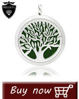 Stainless Steel Essential Oil Aromatherapy Diffuser Locket